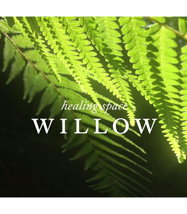 WILLOW