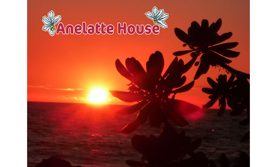 Anelatte House