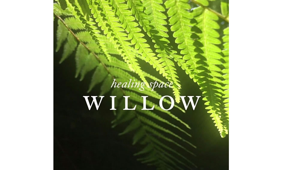 healing space WILLOW